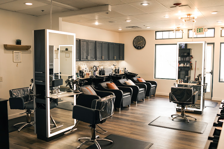 Salon Elevation interior view