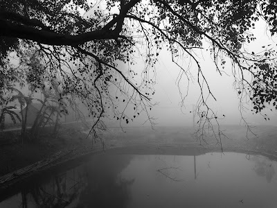 Photos of Kaligonj Bazar