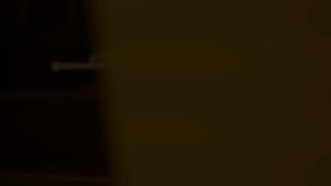 Photo n°8 de Restaurant Indien Le Maharaja Toulouse à Toulouse (Restaurant végétarien)