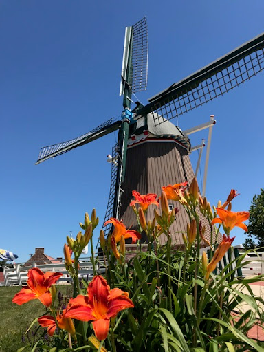 De Immigrant Windmill - Visual