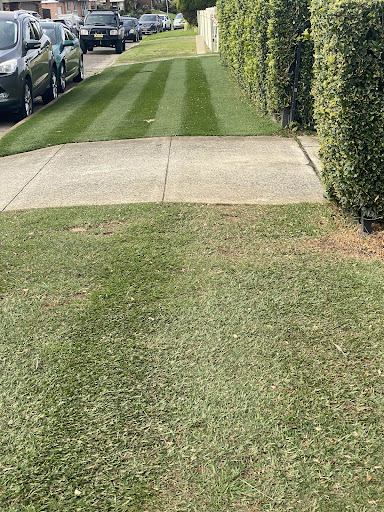 advanced lawns and gardens - Thumbnail