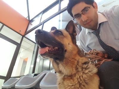 Photos of Integral Veterinary Center