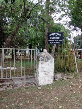 Cementerio De Los Pájaros, Author: Carolina Valencia