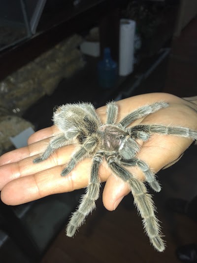 Photos of Pet's Paradise