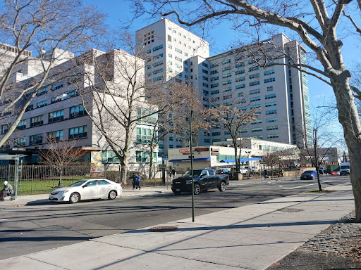 NYC Health + Hospitals/Metropolitan Gallery - United States