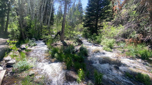 Baker Creek Trailhead Parking Lot - Thumbnail