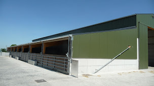 Photo n°8 de Concept Bois à Neuville-Ferrières (Charpentier)