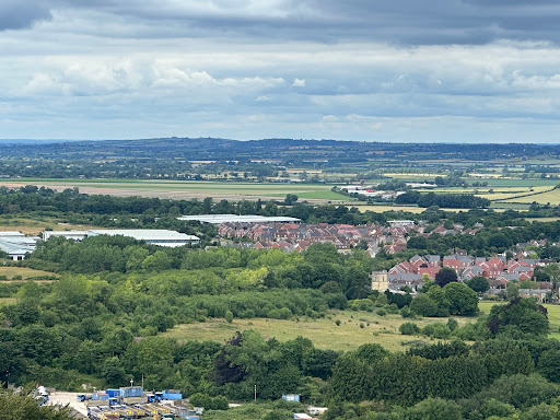 CHILTERNS NATURE - PITSTONE HILL NATURE RESERVE Gallery - United Kingdom
