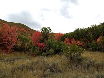 Rocky Mountain Outfitters