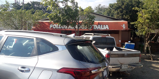 Comedor D Dalia - Thumbnail