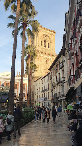 Centre Granada - Visual