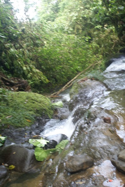 Photos of Comunidad Kumpas