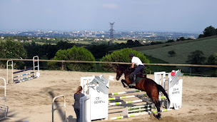 Photo n°1 de Club Hippique de Pollionnay à Pollionnay (Pension pour chevaux)