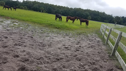 Bay Tree Farm - Visual