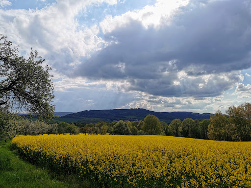 Preuschwitz - Visual