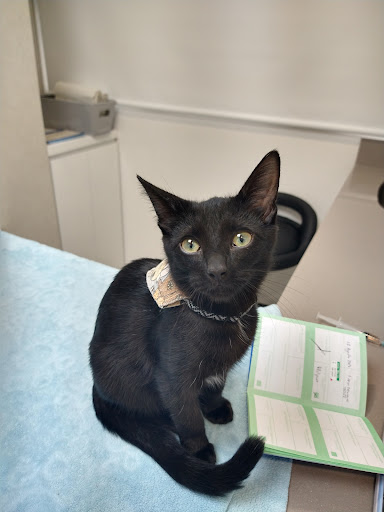 Sierra Madre Veterinary Hospital Gallery - Mexico