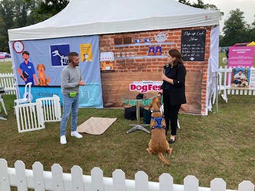 Passionate About Pets Animal Physiotherapy Gallery - United Kingdom