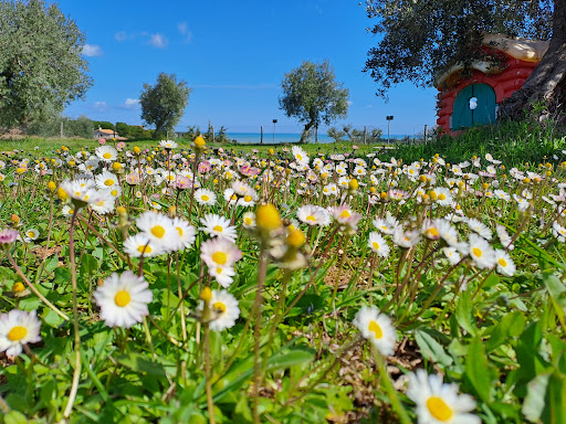 Fattoria dell'Oasi