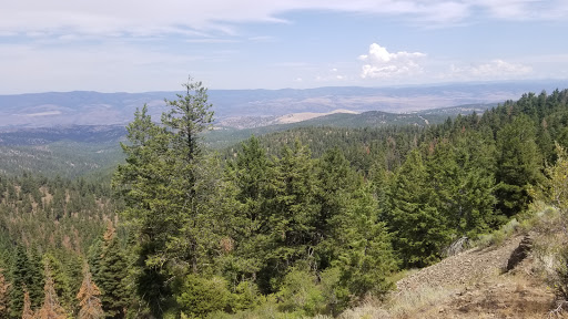 Fall Mountain Lookout Tower - Thumbnail