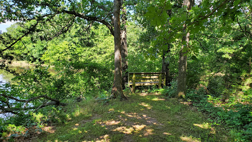 St Francis of the Woods
