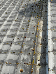 Photo n°14 de FB TOITURE à Pessac (Couvreur)