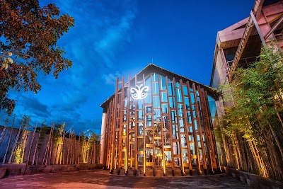 Photos of Cocoon Medical Spa