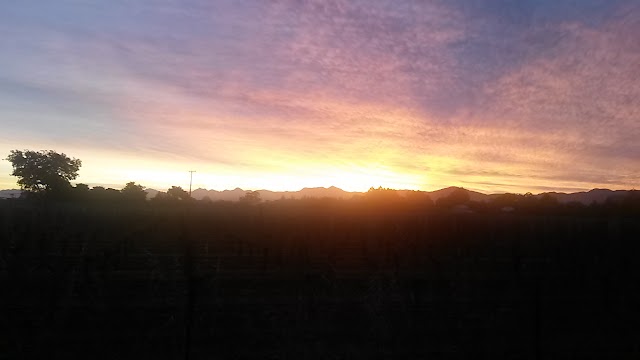 Marlborough