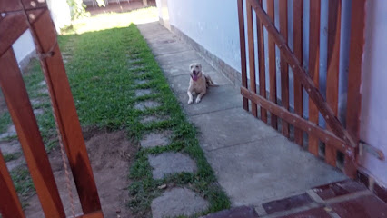 Canil Saquabull