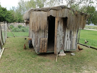 Photos of Emiliana organic winery.
