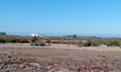 Photos of Miankaleh Wildlife Sanctuary and Wetland