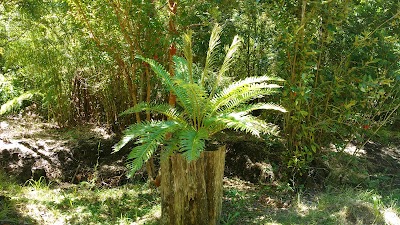 Photos of Agua Potable Co&ntilde;aripe Park