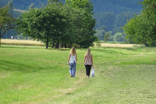 Tauberwiesen - Thumbnail