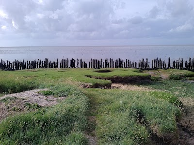 Photos of Stichting Oan 'e dyk