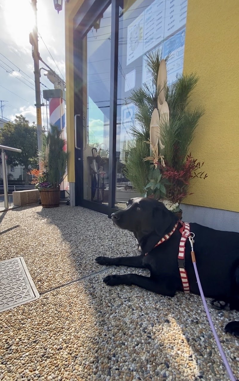 Cut and Salon HIKARI - 光