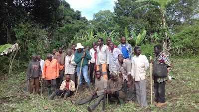Photos of Case Patrimoniale de Bangoua