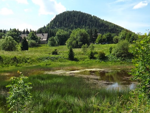 Waligóra