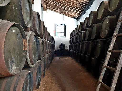 Bodegas Faustino González
