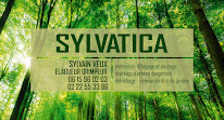 Sylvatica à Lannion