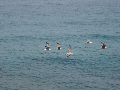 Photos of Plage Sidi Khlifa
