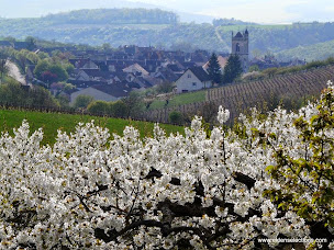 Photo n°1 de burgundywine.com à Saint-Sernin-du-Plain (Grossiste en vins)