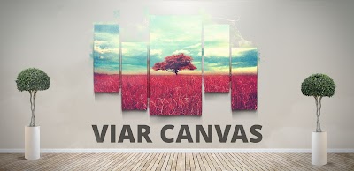 Photos of ViarCanvas