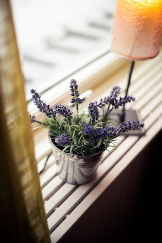 Lilla Hotellet by null