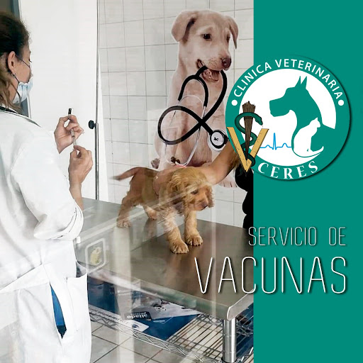 VETERINARIA CERES