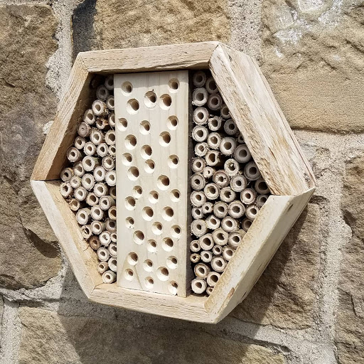 Bee Shapes