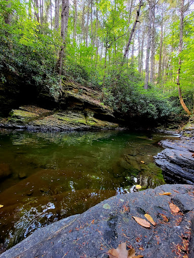 Dingmans Falls - Visual