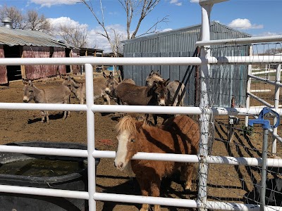 Wishing Star Farm