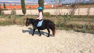 Photo n°1 de Centre équestre La Crinière D'or à Saint-Martin-Lalande (Centre équestre)