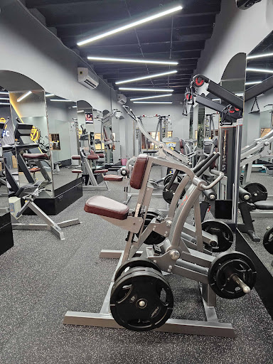 OFC Gym, Best Affordable Luxury Gym Chowpatty Mumbai
