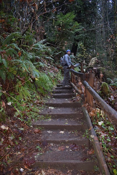 Peabody Creek Trail