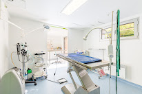 Clinique vétérinaire d'Azay-le-Rideau - Sevetys à Azay-le-Rideau